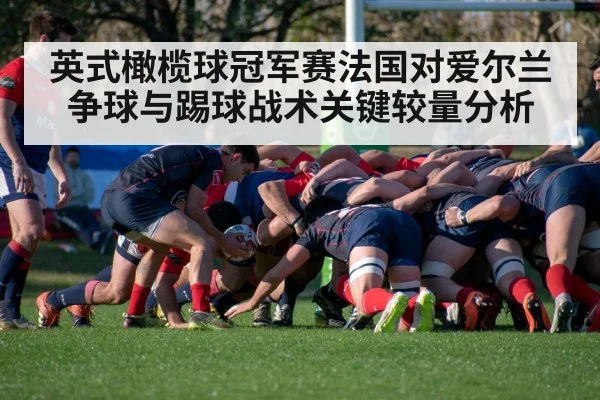 英式橄榄球冠军赛法国对爱尔兰争球与踢球战术关键较量分析（kaiyun）